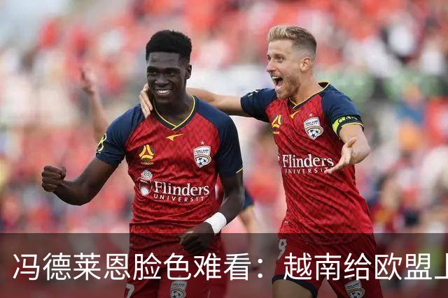 冯德莱恩脸色难看：越南给欧盟上了一课：什么叫 “中国力量”