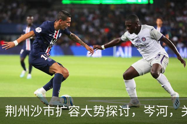 荆州沙市扩容大势探讨,岑河,关沮,立新外围,三地潜力分析