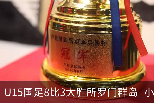 U15国足8比3大胜所罗门群岛 小组第二晋级世界杯第二层级